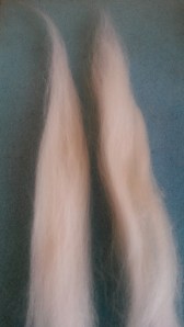 Needle felted guinea pig (16)