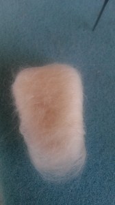 Needle felted guinea pig (17)