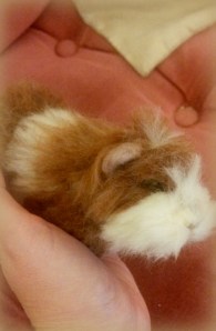 Needle felted guinea pig (31)