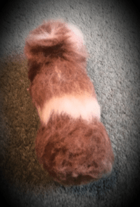 Needle felted guinea pig (7)