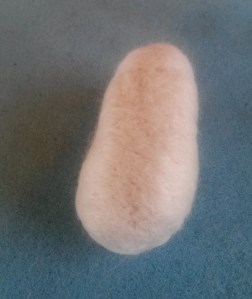 Needle felted guinea pig (8)