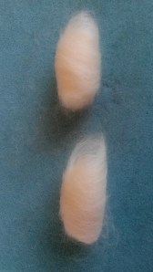 Needle felted guinea pig (9)