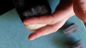 How to needle felt long animal fur (3)