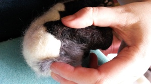 How to needle felt long animal fur (7)