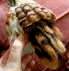 Felted owl (40)