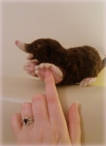 25-Needle felted mole (3)