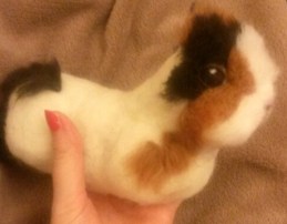 Needle felted WIP guineapig (20)