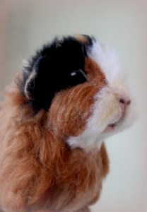 Needlefelted guinea pig (11)