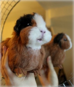 Needlefelted guinea pig (16)
