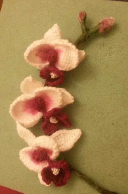 2015-03-12 18.56.55.jpg image