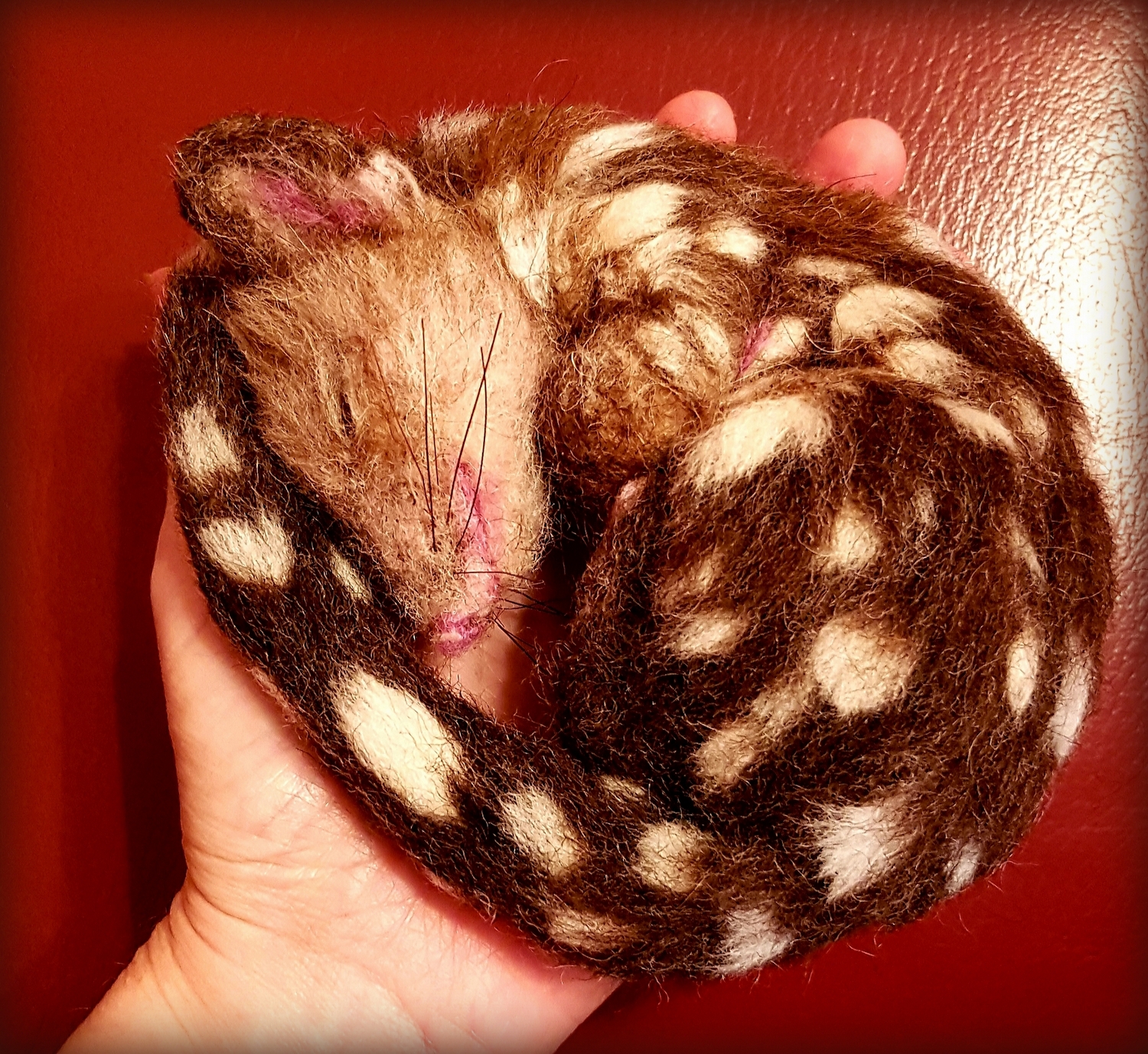03-Needle felted quoll (25)